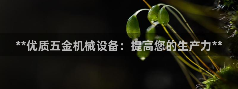 ag九游会官网网址