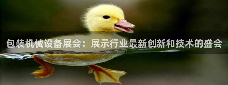 九游j9官网入口