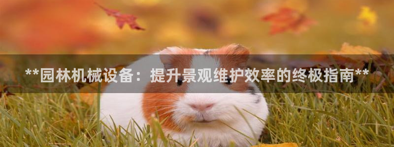 ag九游会j9j9