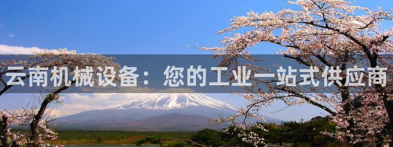ag九游会app