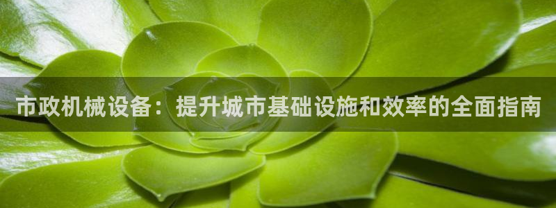 j9九游会ag私享
