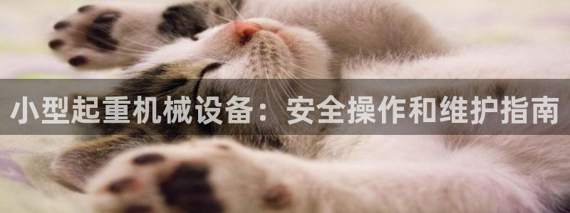 九游会app下载版官网正版安卓