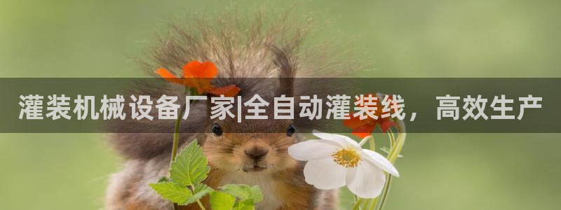 九游会提款快吗