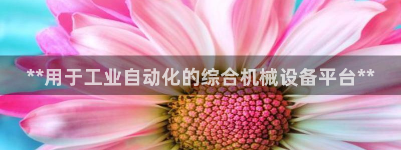 九游会j9官网网站