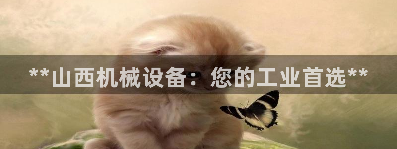 j9九游会下载