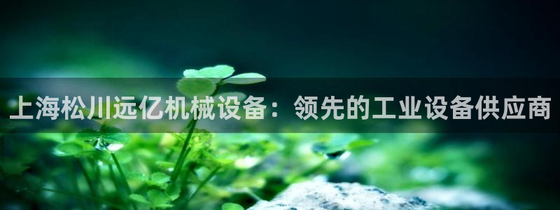j9九游会官网入口