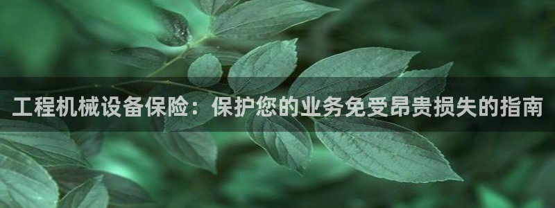 九游会ag亚洲