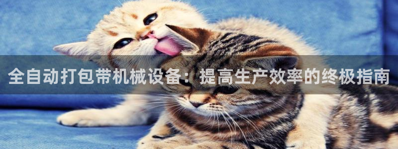 九游会官网登录中心入口
