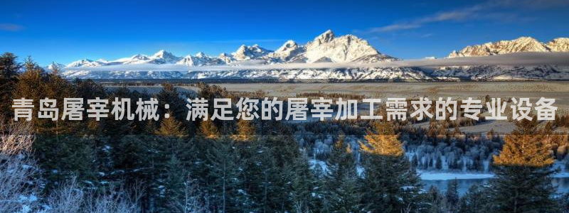ag九游老哥俱乐部