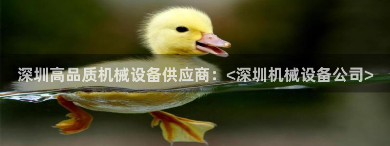 ag九游老哥俱乐部