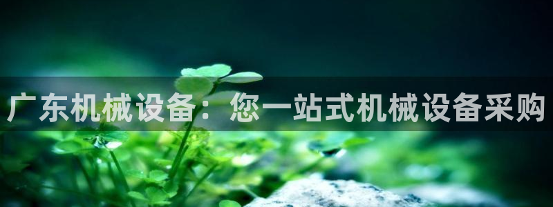 j9p下载