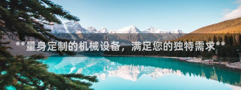 九游会亚洲唯一合作伙伴