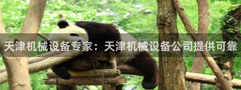 九游j9会 - 真人游戏第一品牌