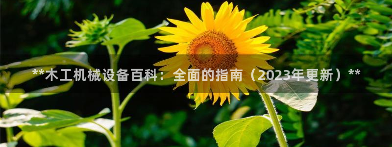 九游会平台稳定吗