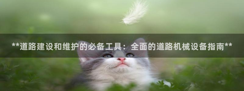 九游会j9