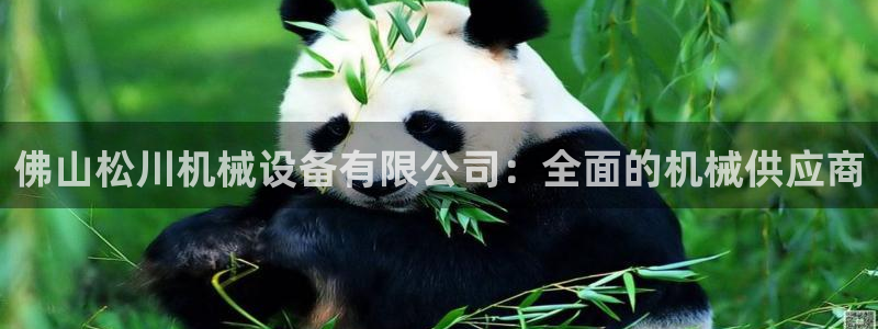 九游会游戏网址