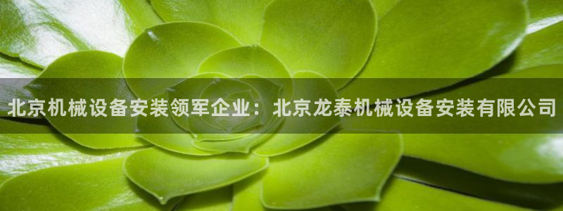 j9九游会安卓版下载
