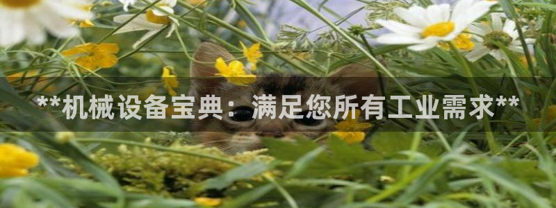 九游会AG下载手机端