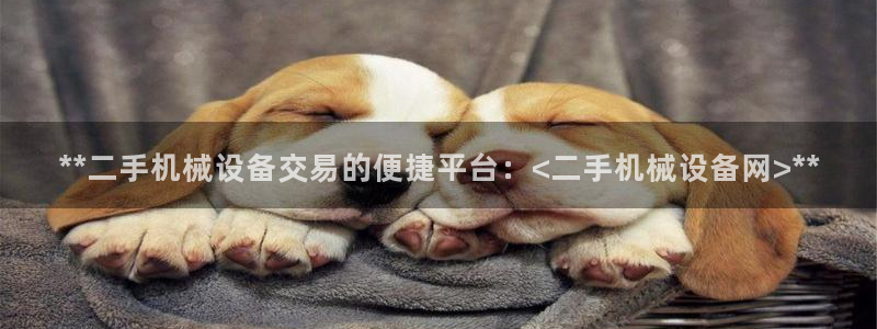 j9九游会跑路了吗