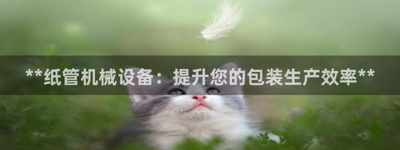九游会官网网址