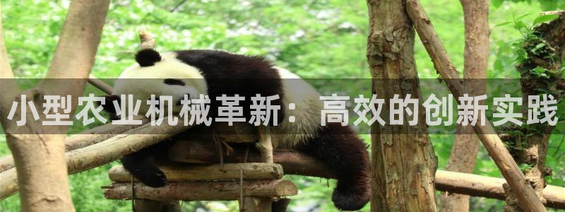 J9九游会是干嘛的