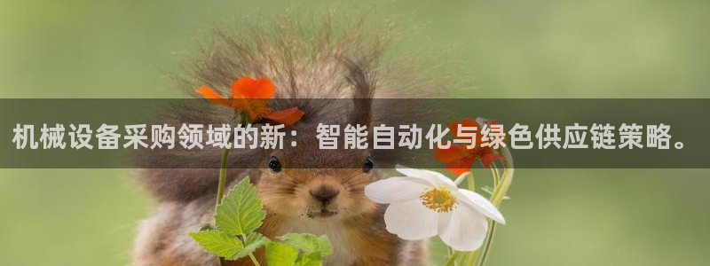 J9九游会官网app