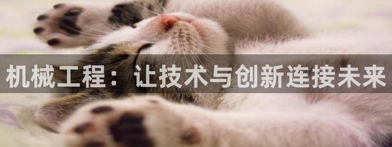 九游官网首页进入j9