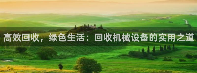 九游会亚洲：高效回收
