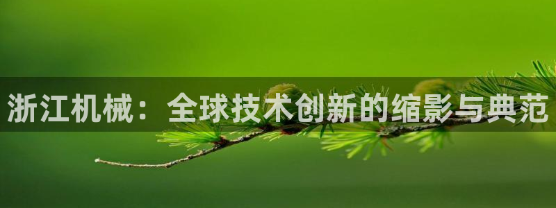九游会黑钱吗：浙江机