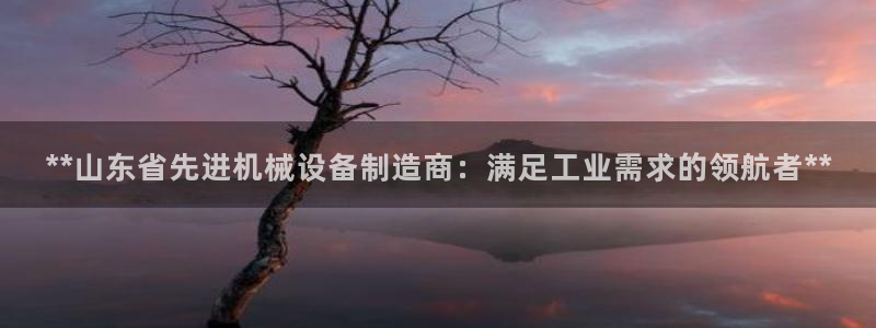 九游会网址登陆