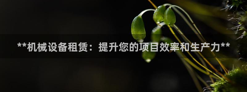 九游会ag真人官网ios