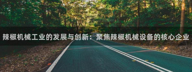 j9九游会ag8手机aPP